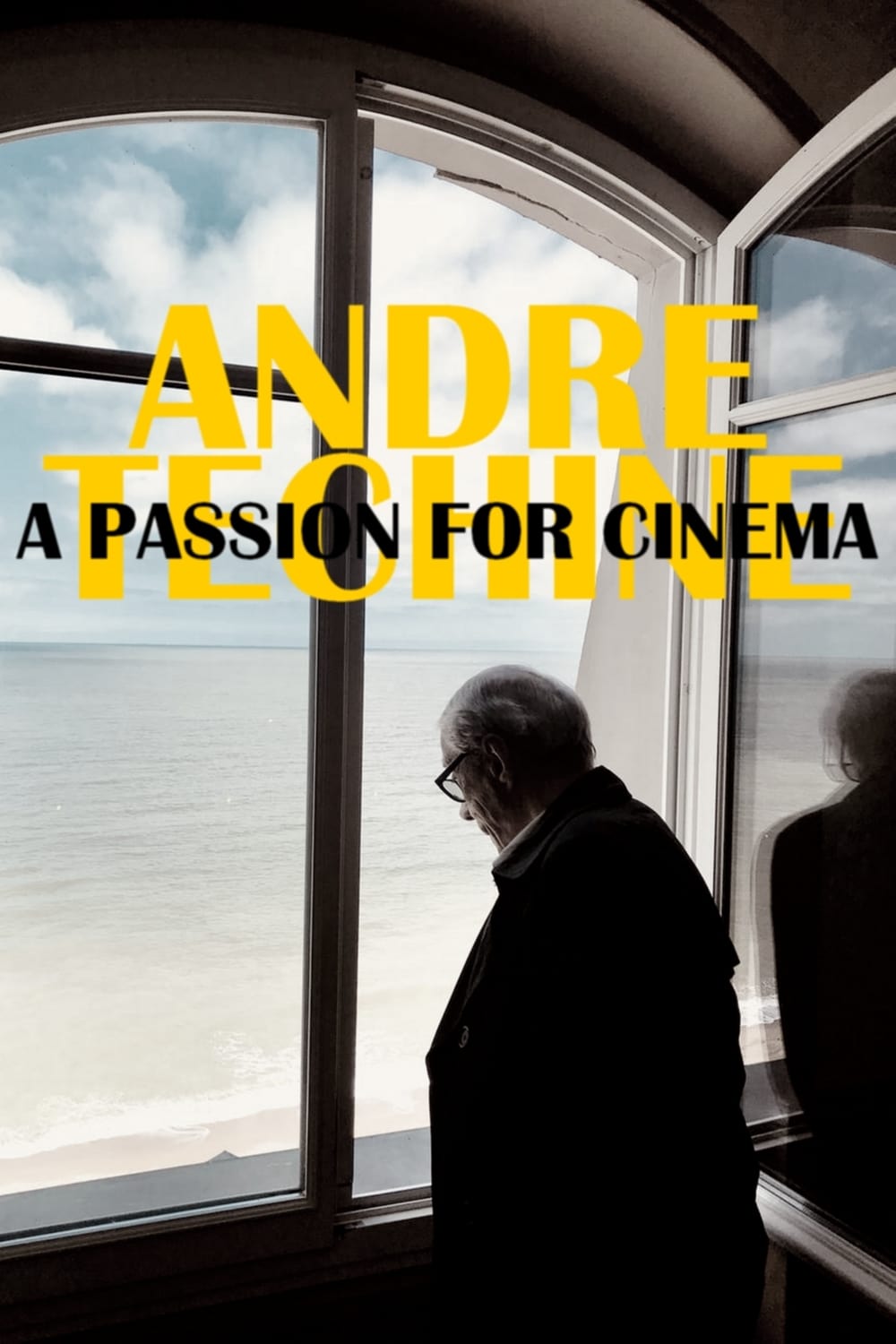 Постер André Téchiné, cinéaste insoumis
